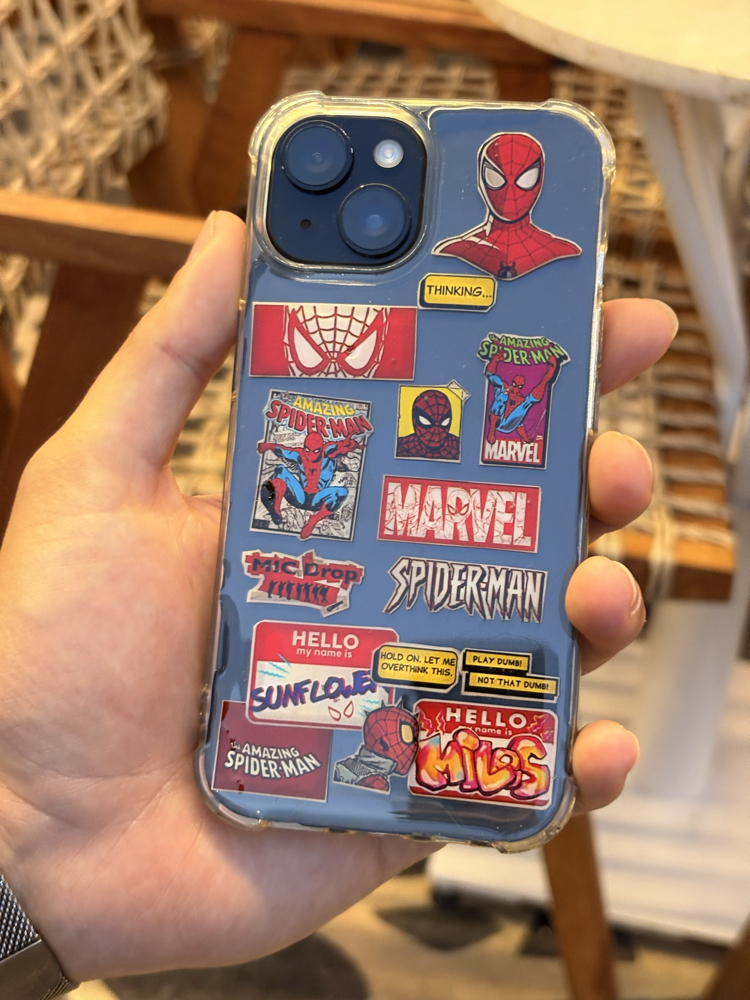 Spider Man Case