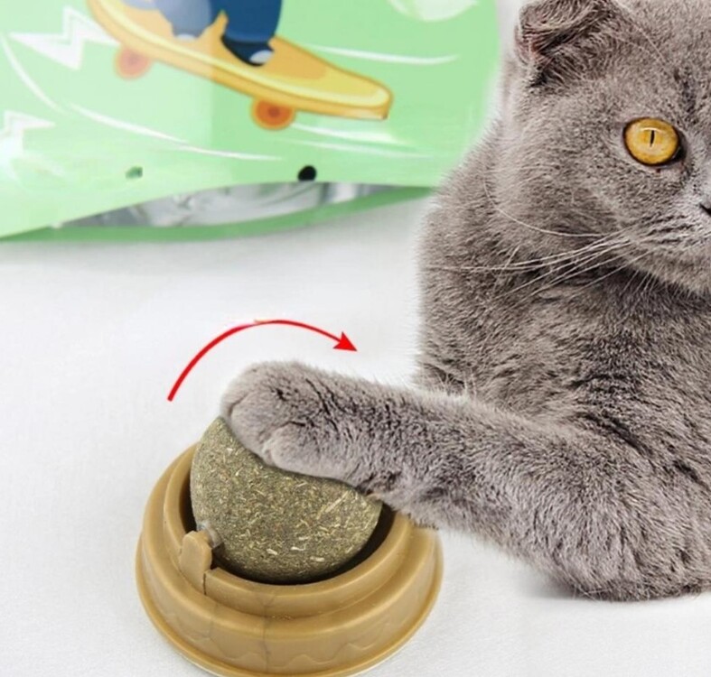 Kedi Otu Oyun Topu