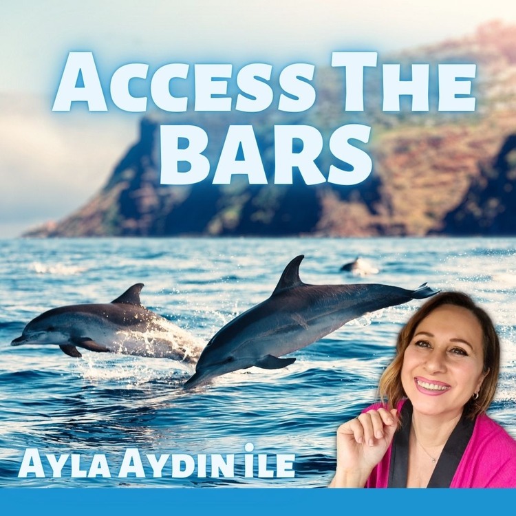 Access the Bars (Tekrar eğitimi içindir)