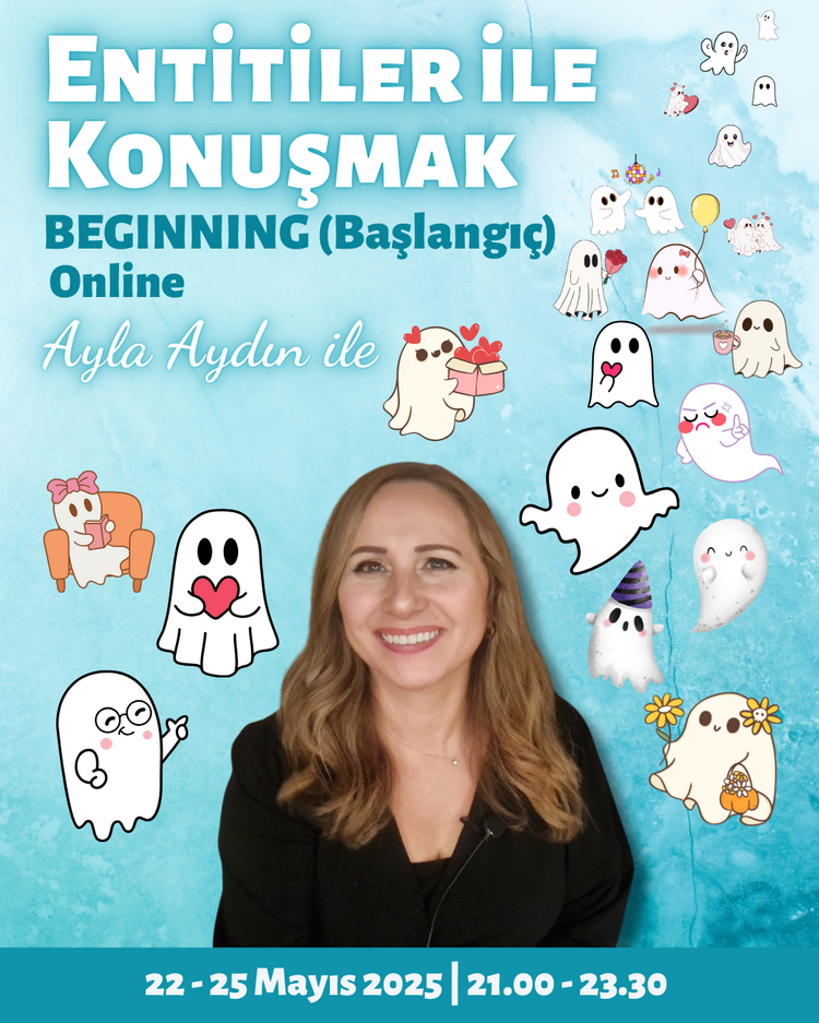 TTTE Entitiler ile Konuşmak Beginning