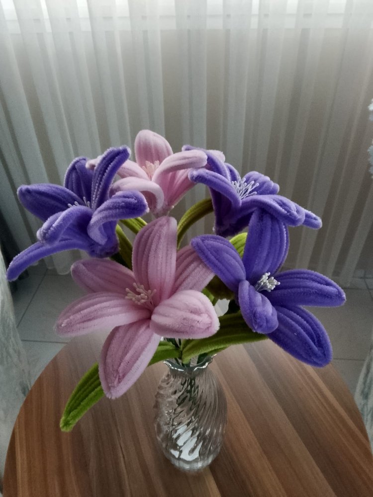 2 renk lilyum 