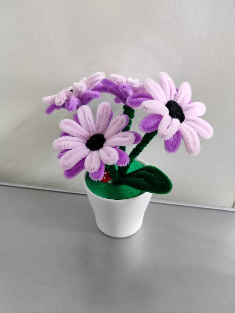 Pink Flowers