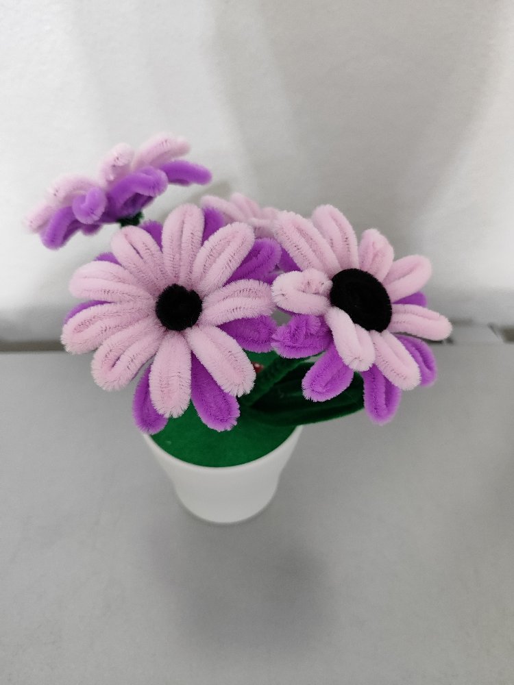 Pink Flowers