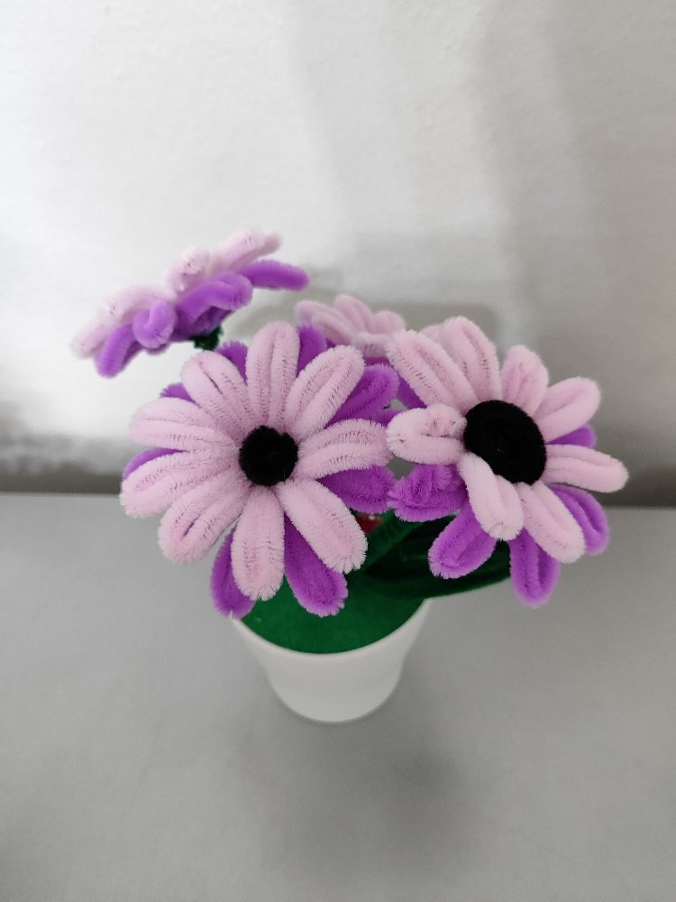 Pink Flowers