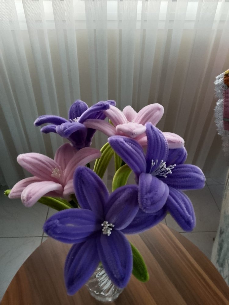 2 renk lilyum 