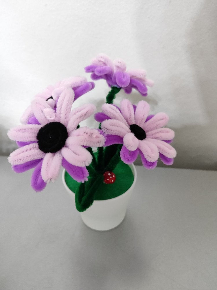 Pink Flowers