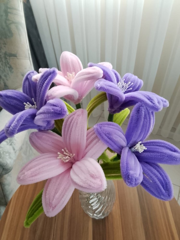 2 renk lilyum 