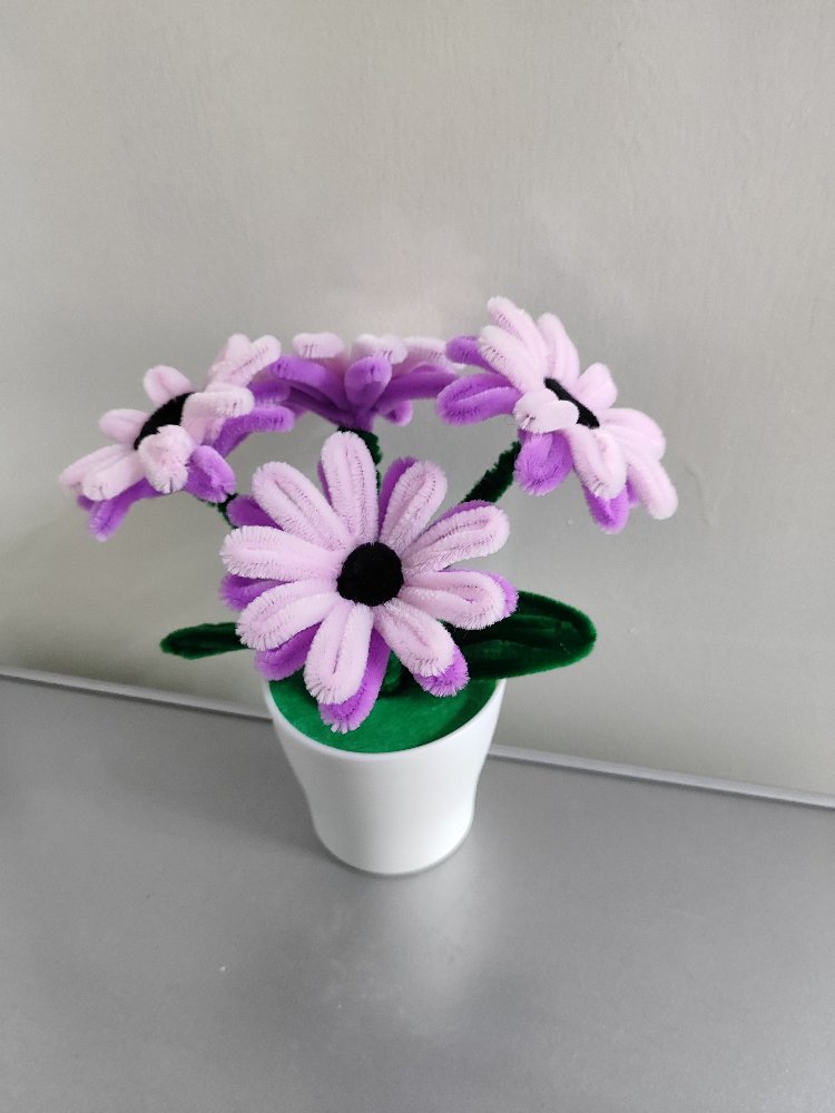 Pink Flowers