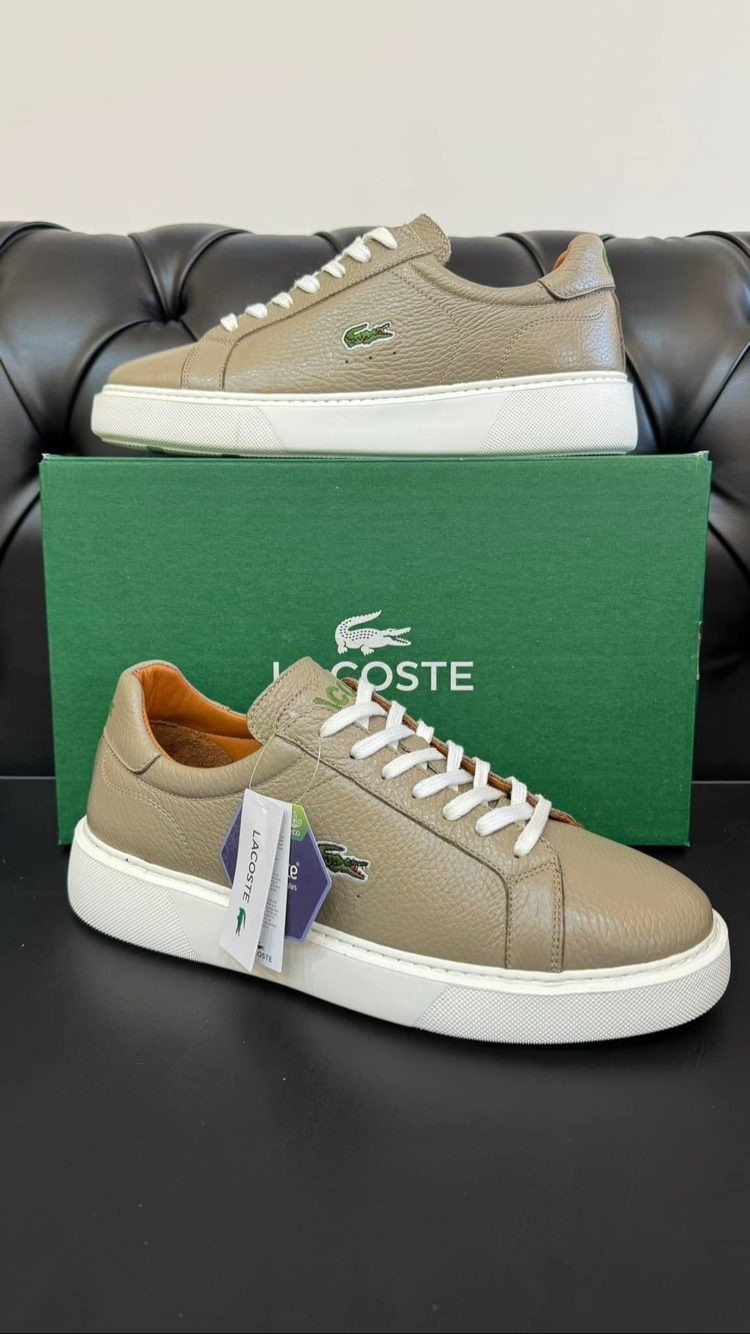 Lacoste Erkek Ayakkabı