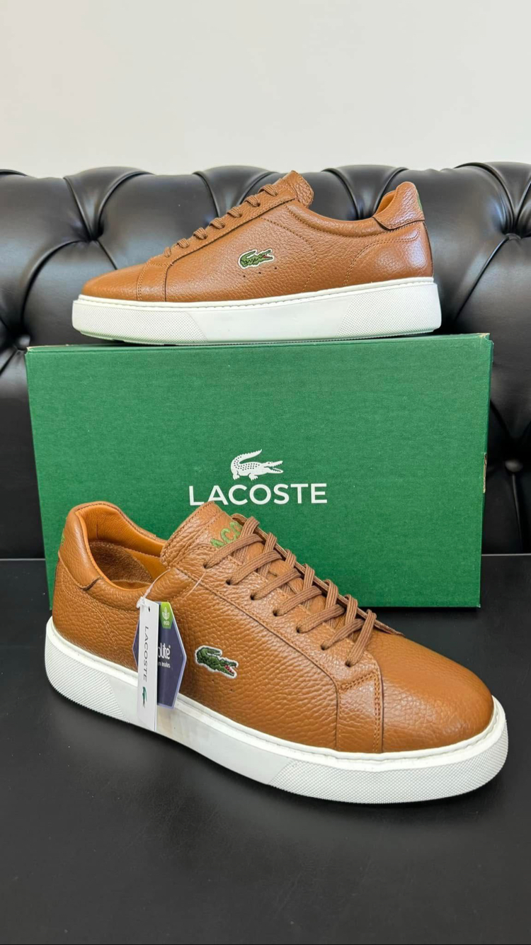 Lacoste Erkek Ayakkabı