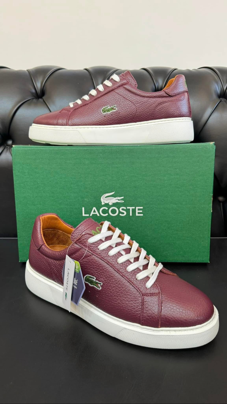 Lacoste Erkek Ayakkabı