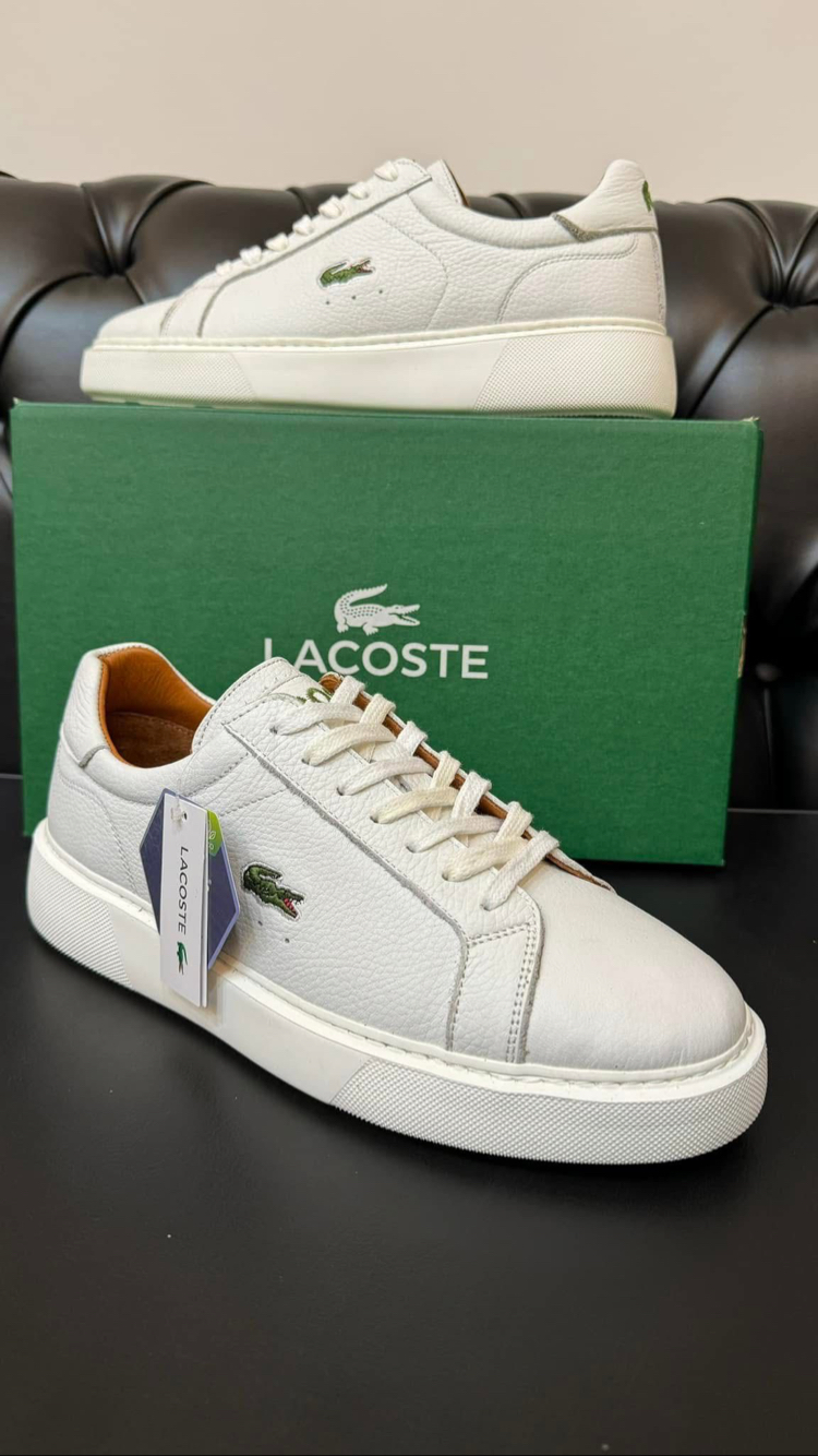 Lacoste Erkek Ayakkabı