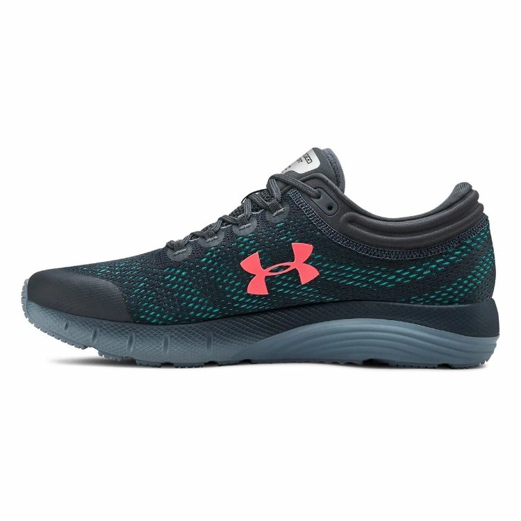 Erkek Under Armour Charged Bandit 5