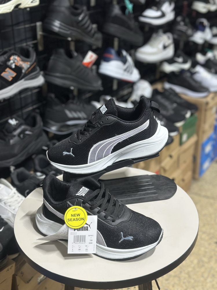 Puma model