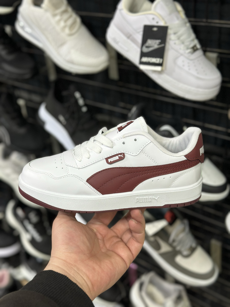 Puma models