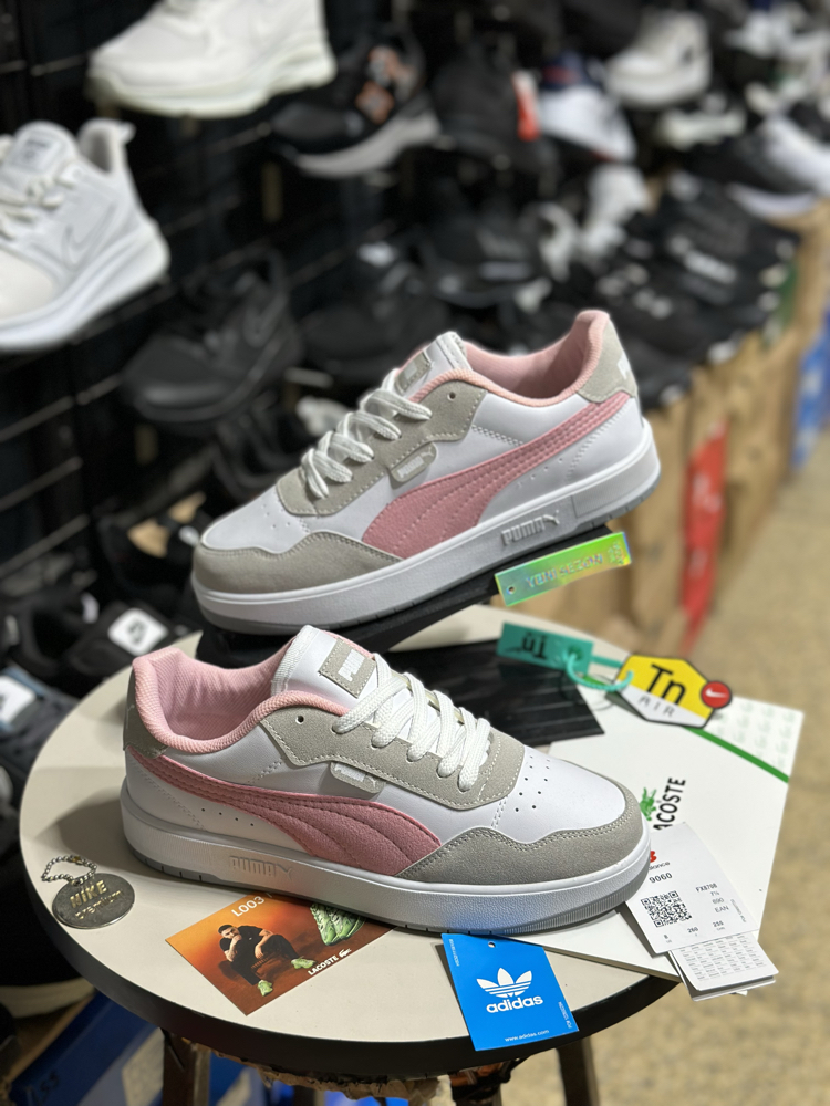 Puma model