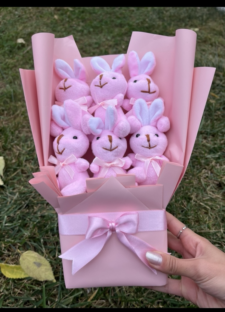 Pembe tavşan Set’i