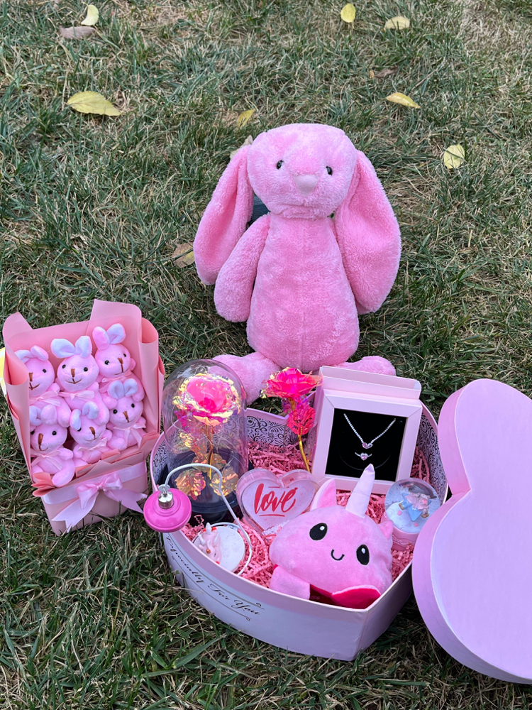 Pembe tavşan Set’i