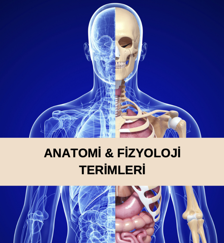 Hareket ve Fitness Terminolojisi