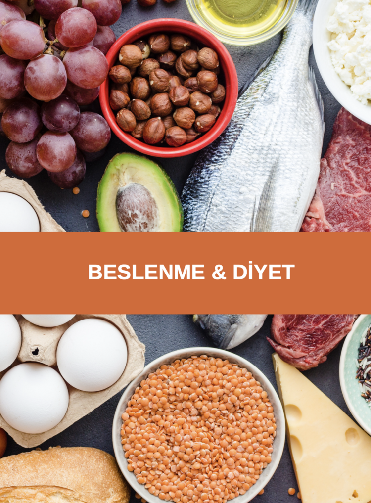 Hareket ve Fitness Terminolojisi