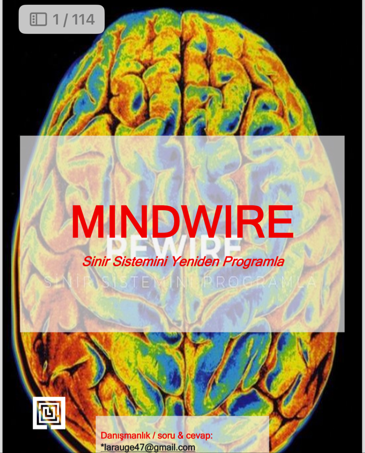 REWIRE & MINDWIRE & SOULWIRE + 30 Ek Çalışma