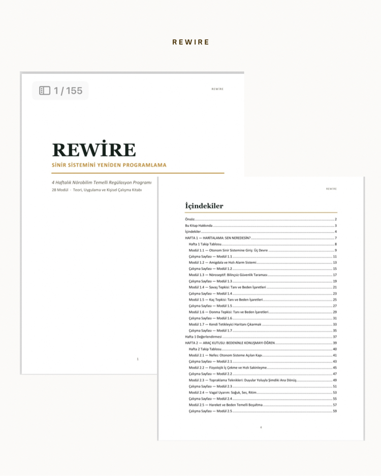 Rewire Uygulama Kitabı + 4 Haftalık Nörobilim Temelli Regülasyon Programı