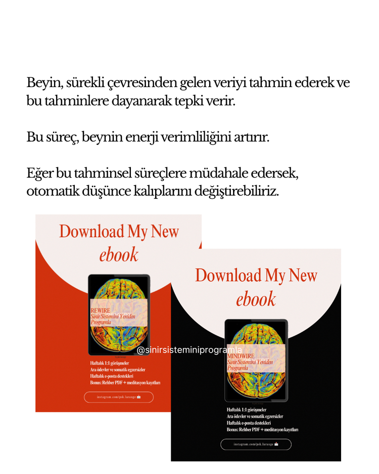 REWIRE & MINDWIRE & SOULWIRE + 30 Ek Çalışma