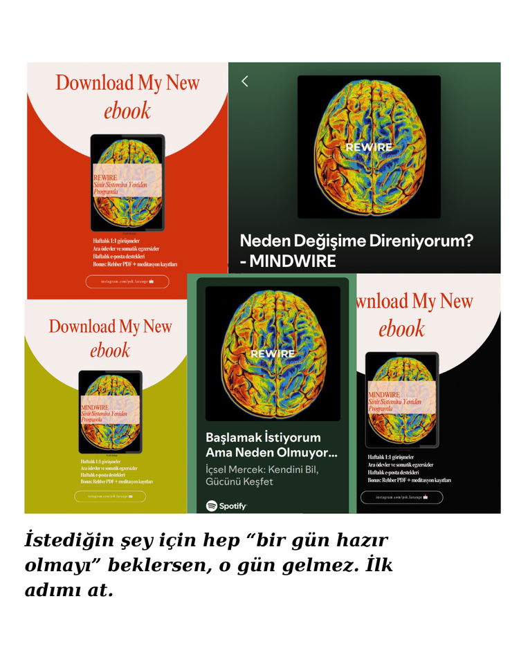 REWIRE & MINDWIRE & SOULWIRE + 30 Ek Çalışma