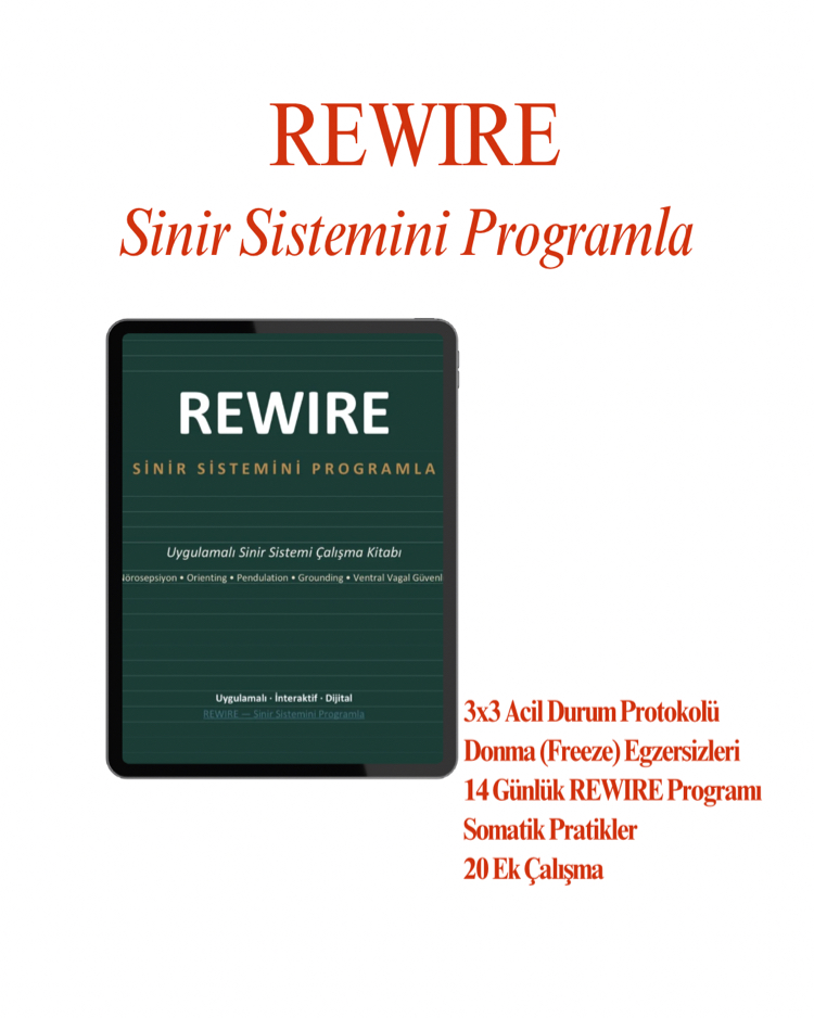 Rewire Uygulama Kitabı + 4 Haftalık Nörobilim Temelli Regülasyon Programı