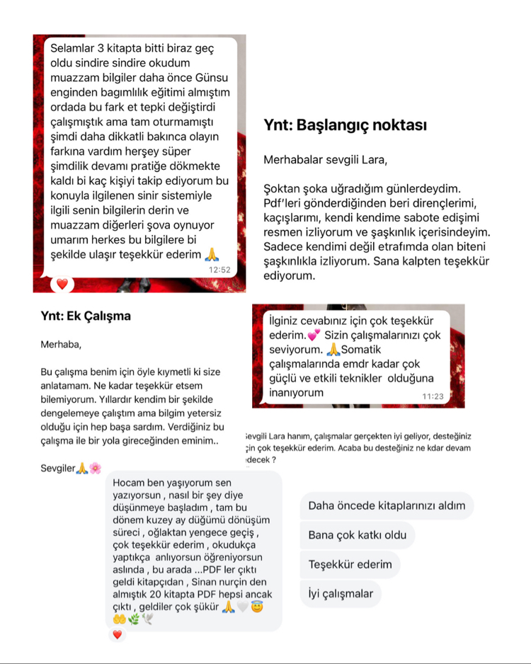 REWIRE & MINDWIRE & SOULWIRE + 30 Ek Çalışma