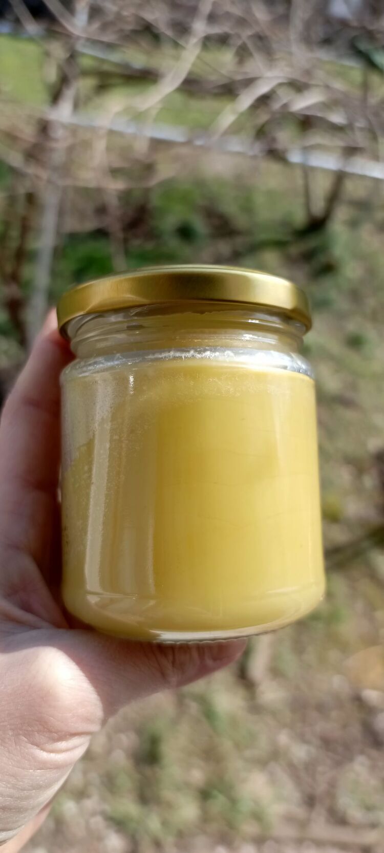 Kuyruk yağı kremi 200 ml