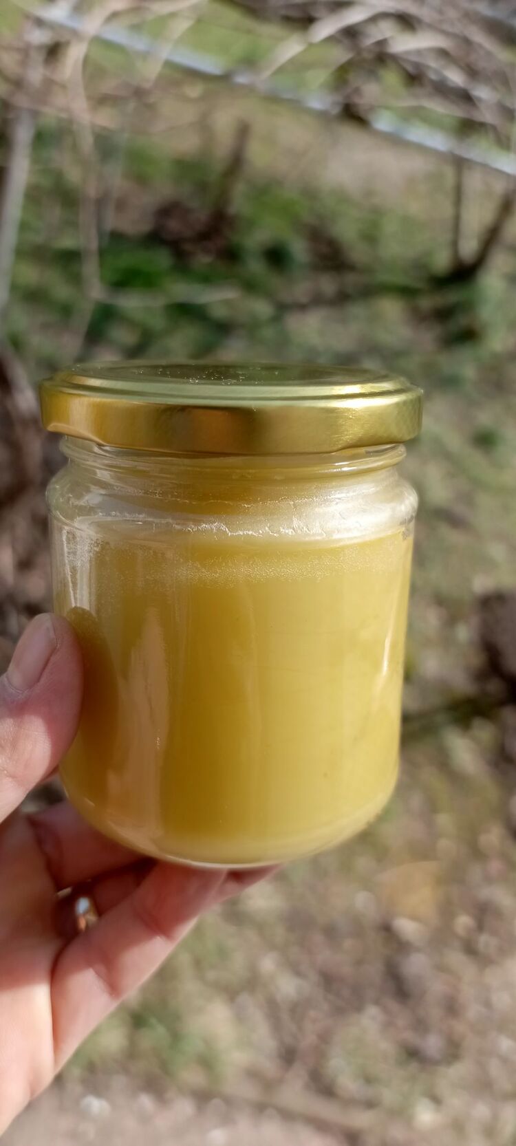 Kuyruk yağı kremi 200 ml