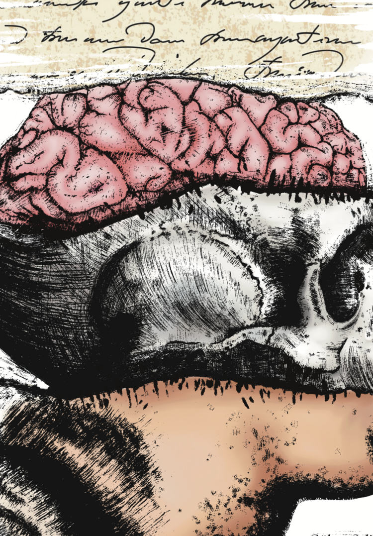 Inside The Head