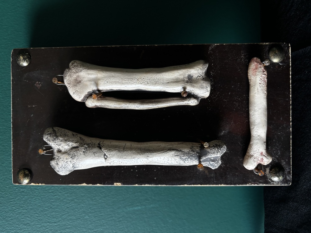 Bones Series - 3