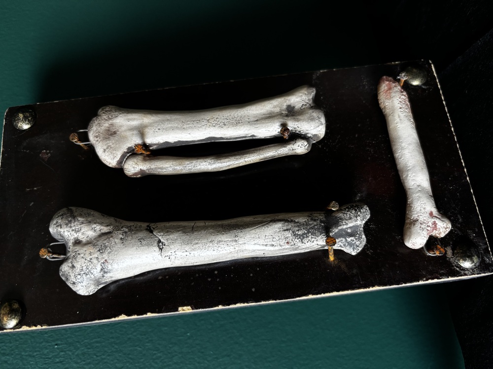 Bones Series - 3