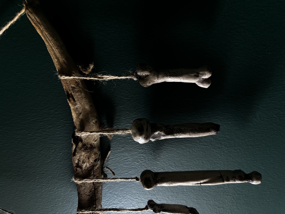 Bones Series - 2