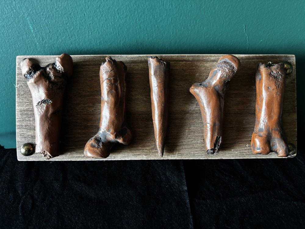 Bones Series - 5