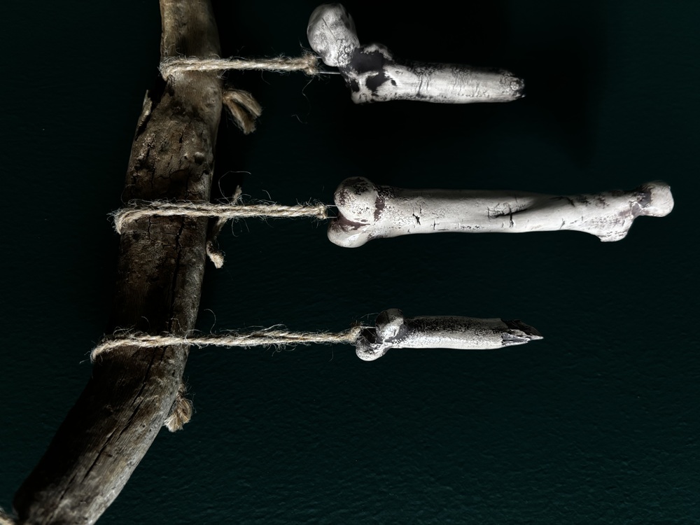 Bones Series - 2