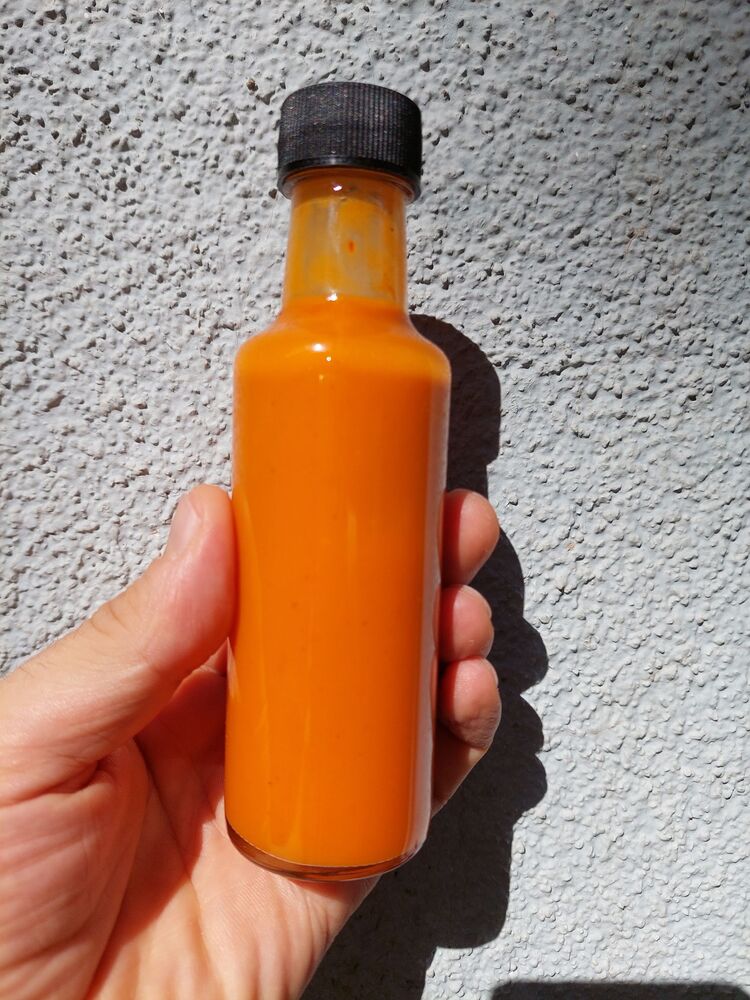 Habanero Light