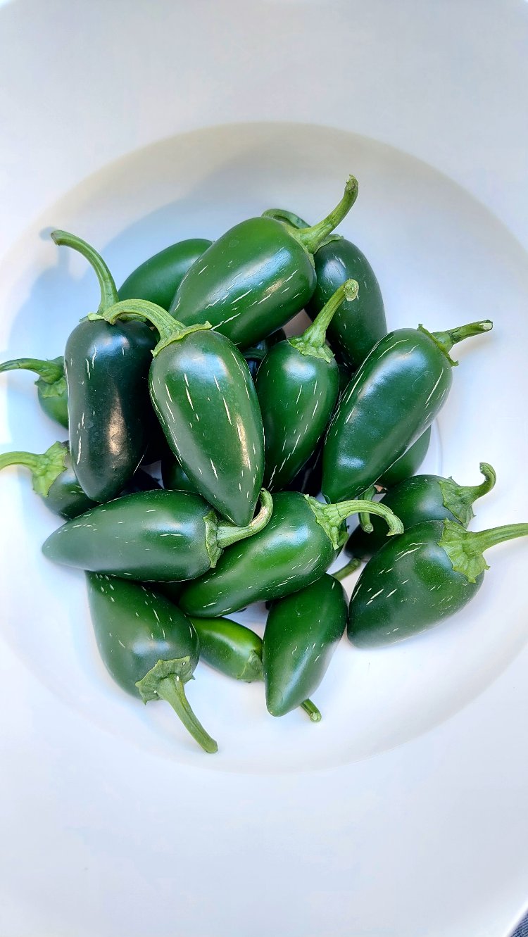Red Habanero & San Marzano Sos