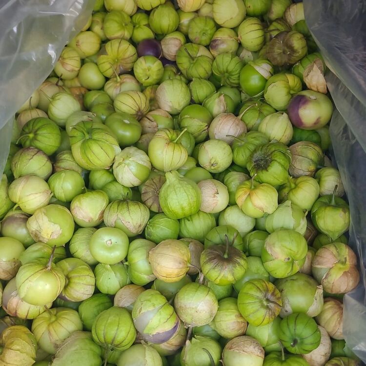 Salsa Verde - Meksika Acı Sos