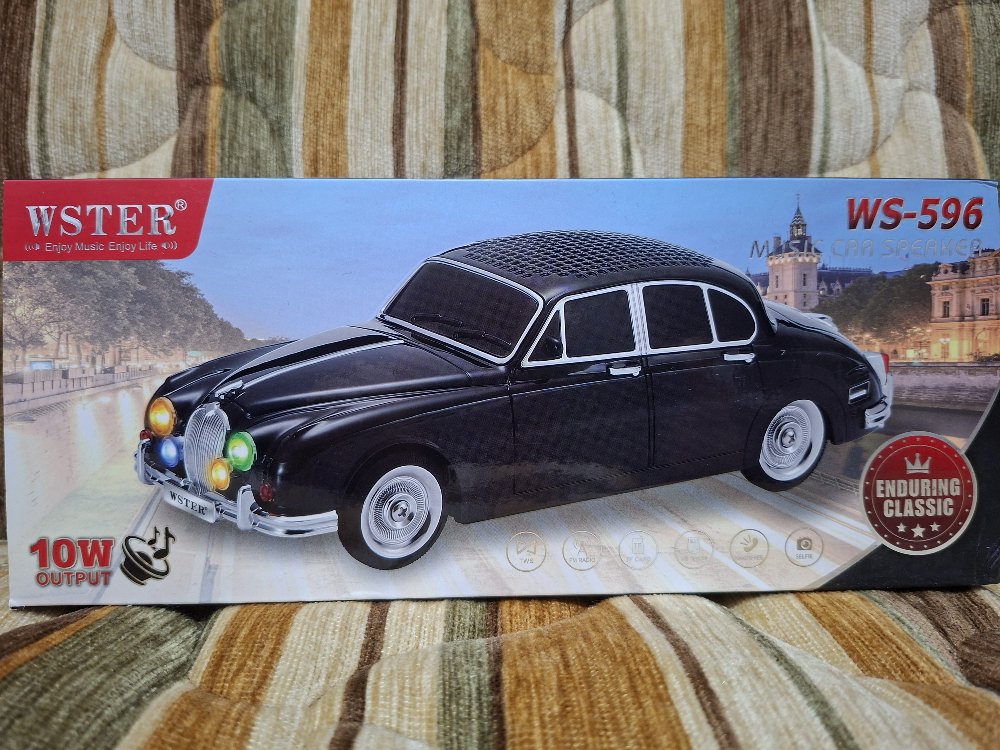WSTER WS-596 araç müzik hoparlörü 10 watt