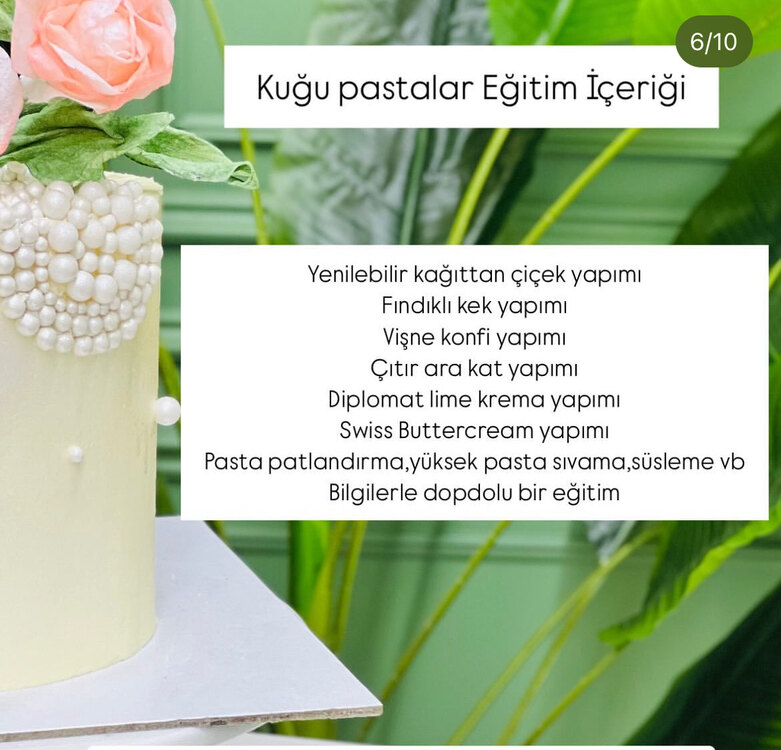 Kuğu pastalar eğitim