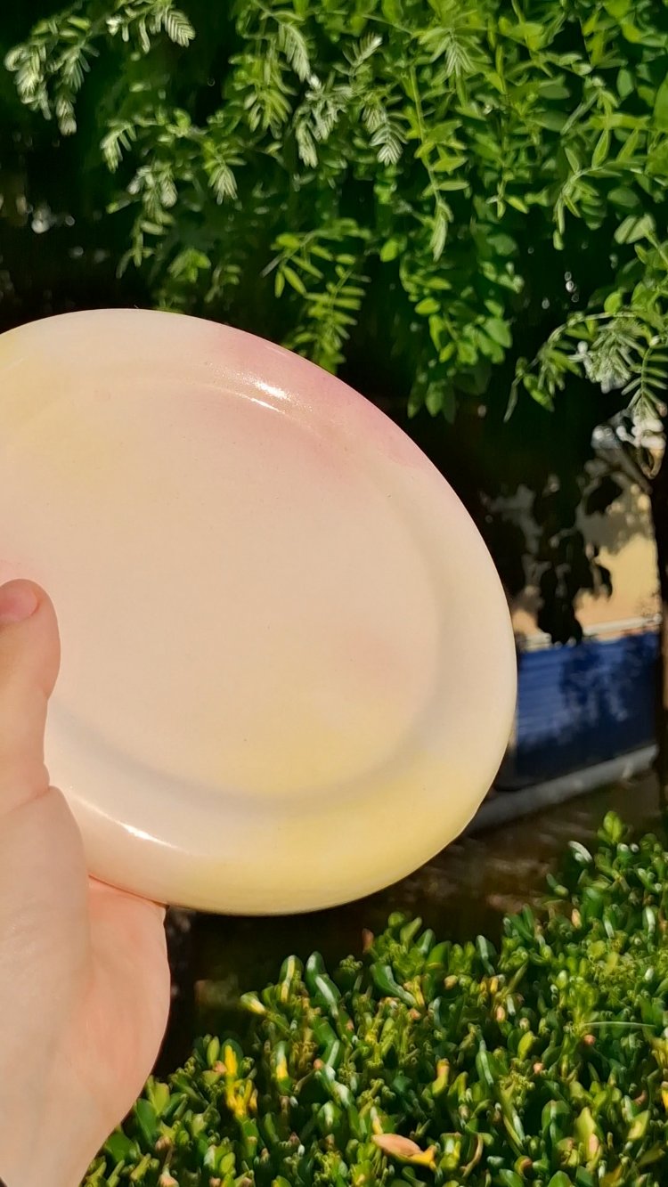dreamy donut tabak