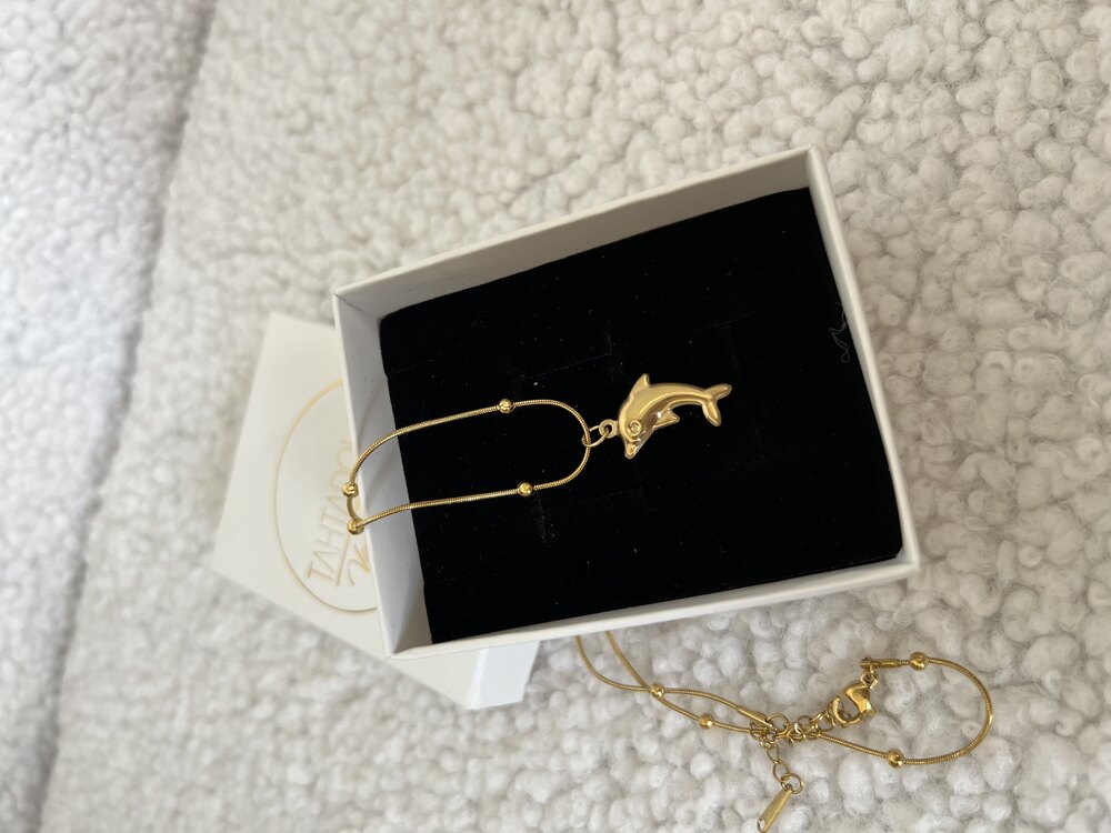 Golden Dolphin Luck Charm Premium Çelik Kolye