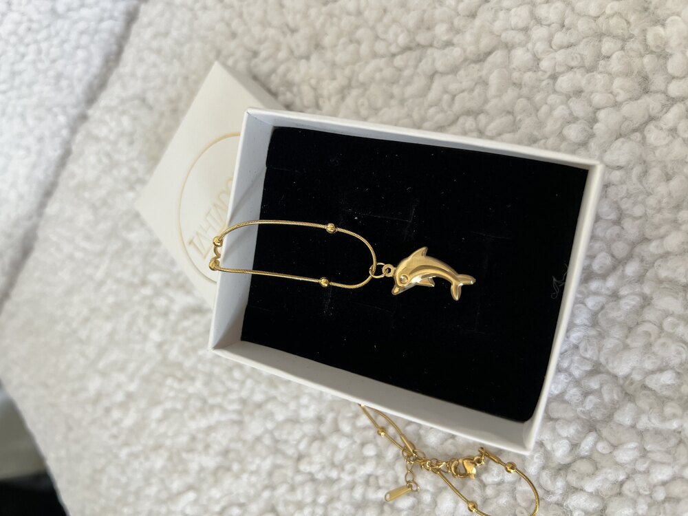 Golden Dolphin Luck Charm Premium Çelik Kolye