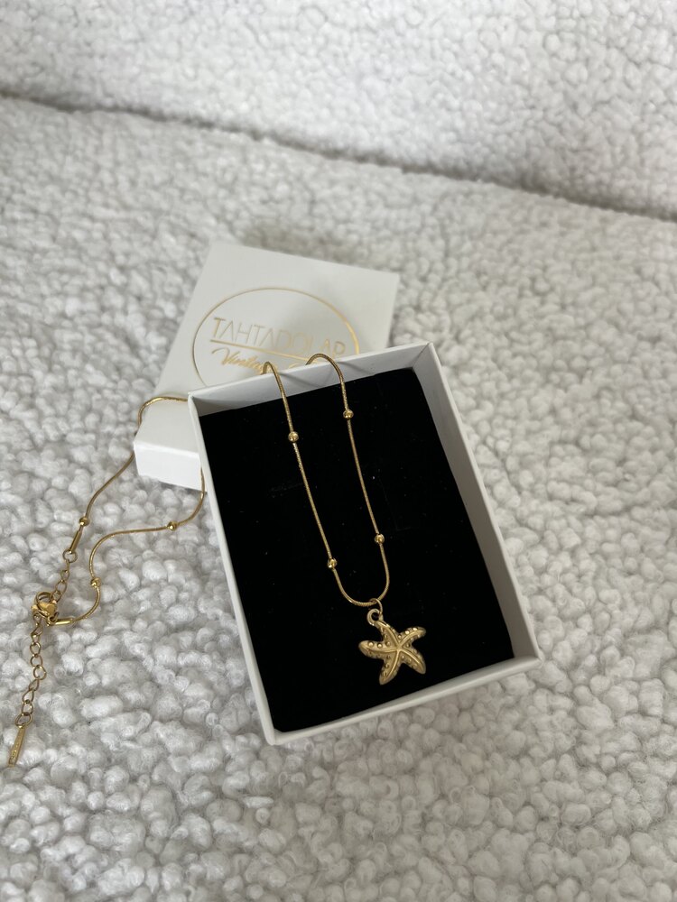 Sea Star 18 k Premium Gold Plated Çelik Kolye