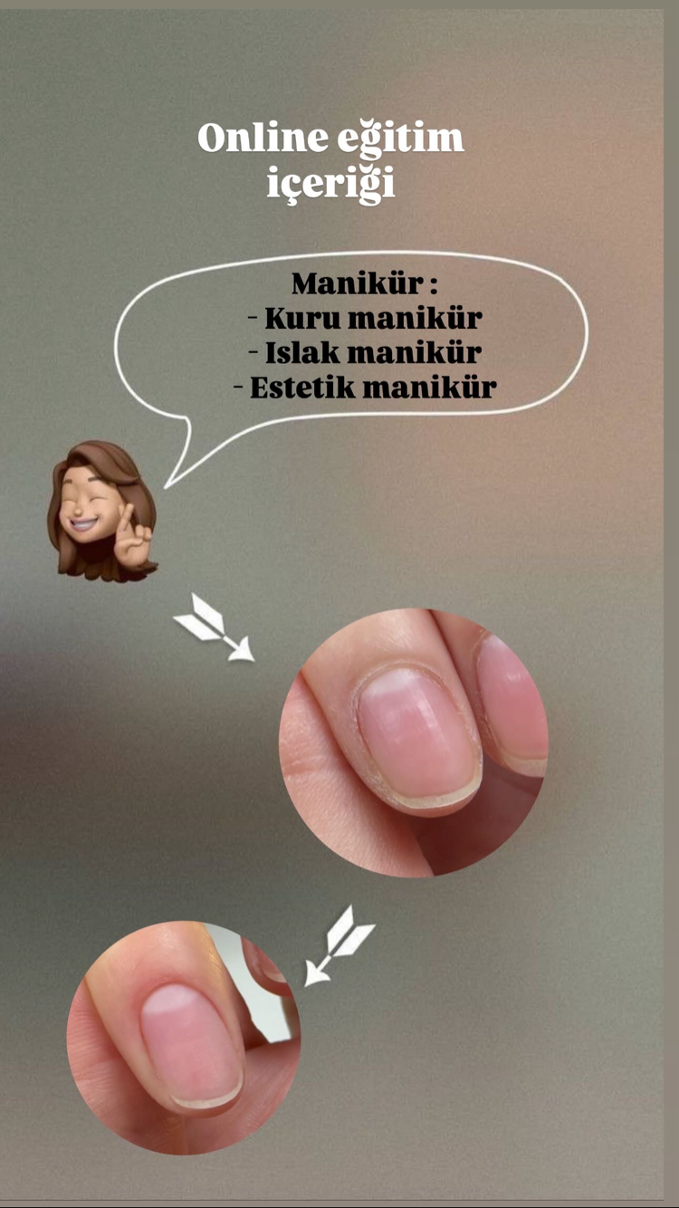 Pro Online eğitim