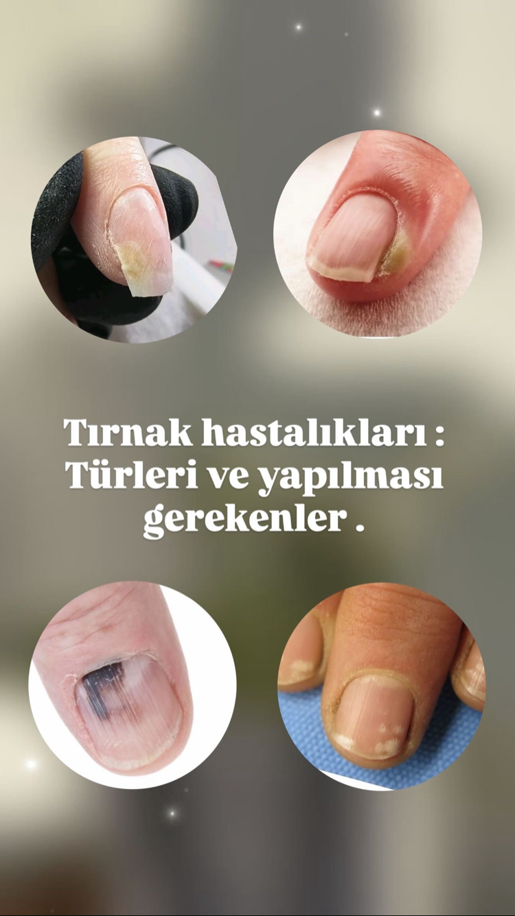 Pro Online eğitim