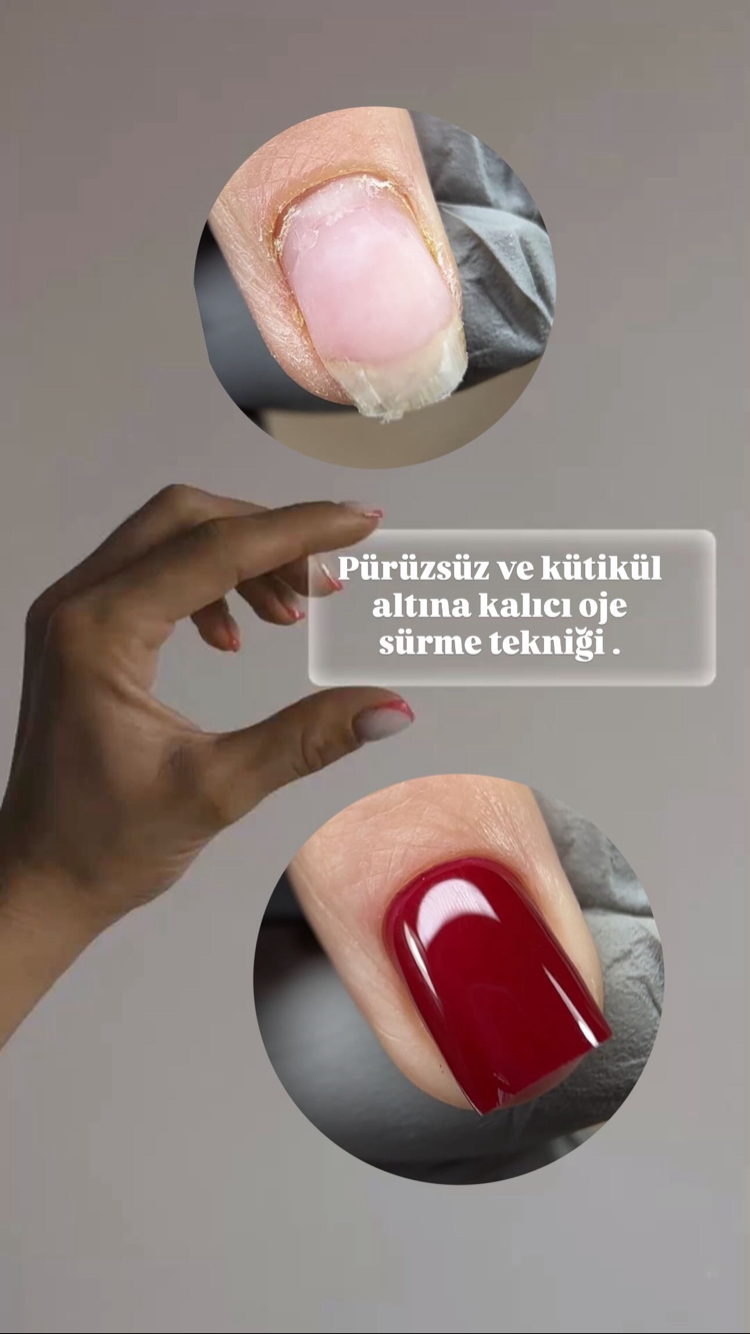 Pro Online eğitim